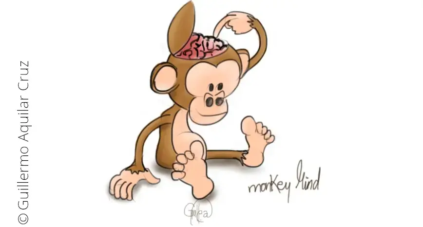 Ein Affe als Symbol des Monkey Minds, des unfokussierten Verstandes